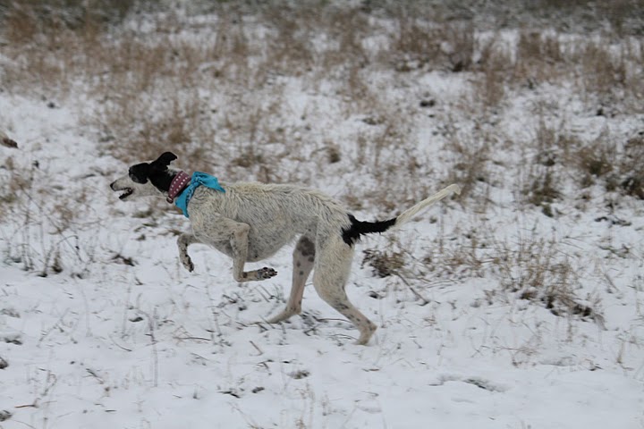 IMG_2270.JPG