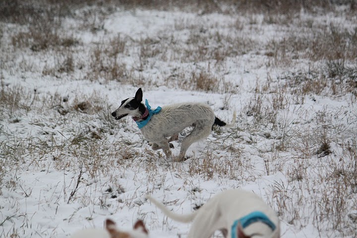 IMG_2272.JPG