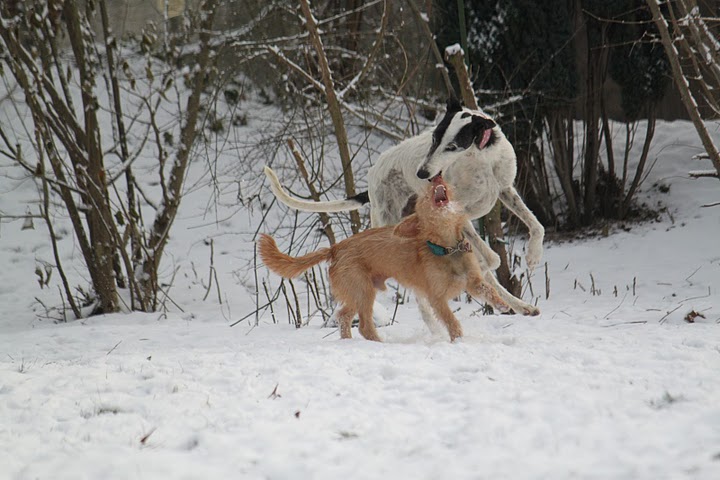 IMG_2449.JPG
