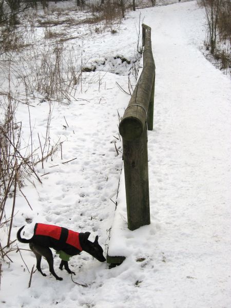 Schnee001.jpg