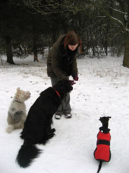 Schnee002.jpg