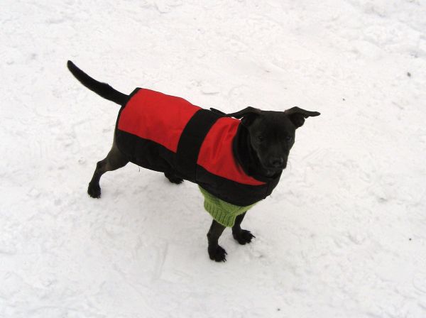 Schnee004.jpg