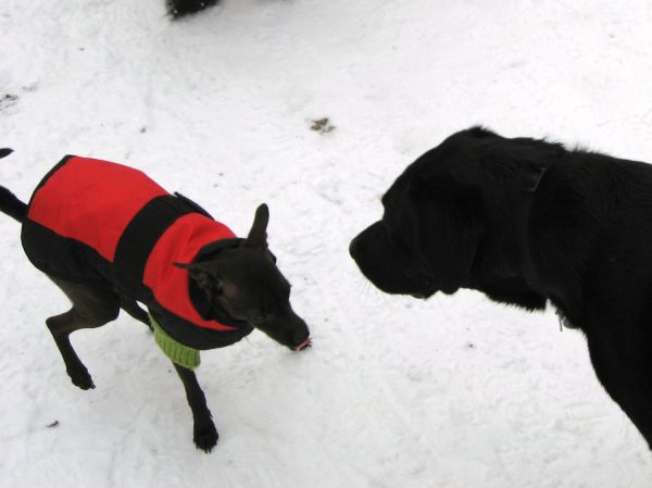 Schnee005.jpg
