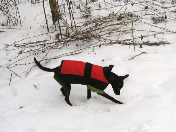 Schnee006.jpg