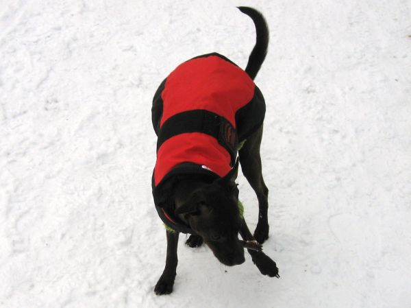 Schnee007.jpg