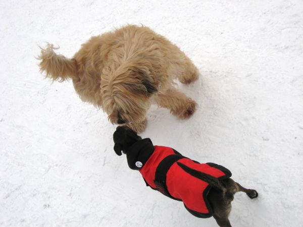Schnee009.jpg