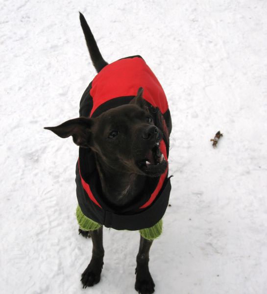 Schnee008.jpg