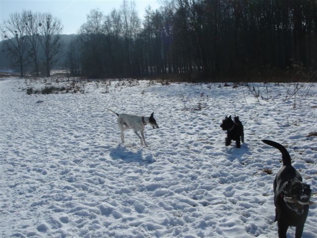 DSC03436.JPG