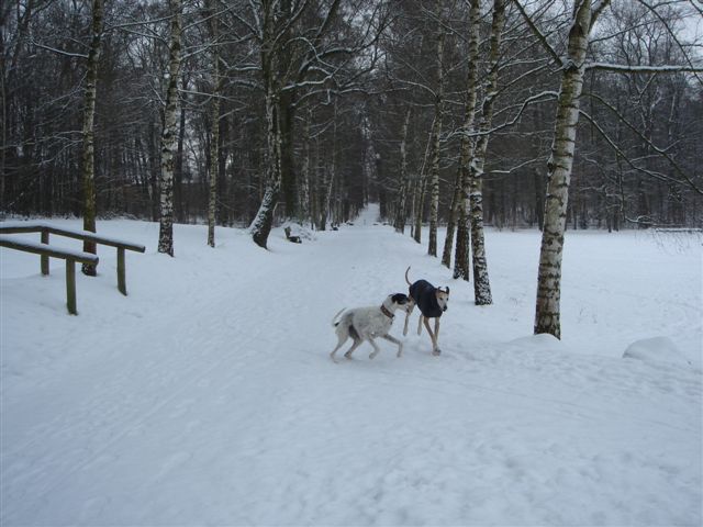 DSC03365.JPG