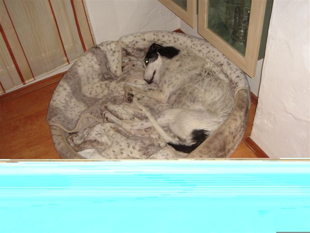 DSC03447.JPG