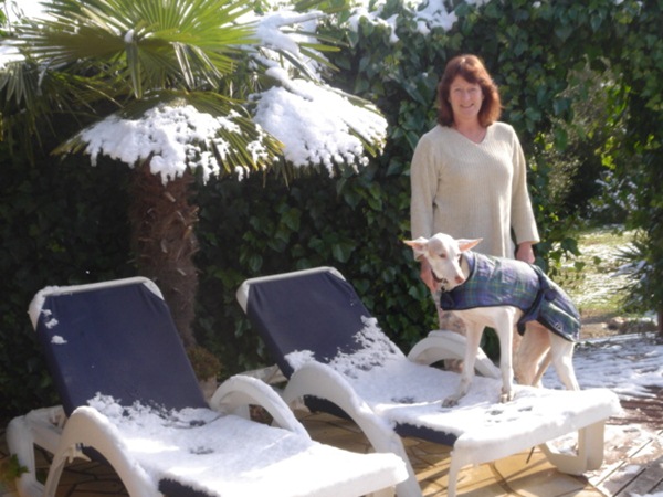schneee  12.Febr. 2010 016.JPG
