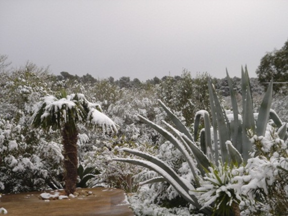 schneee  12.Febr. 2010 010.JPG