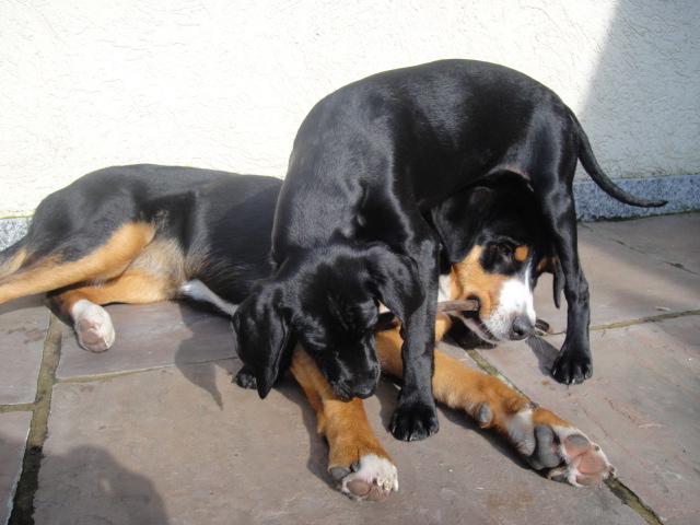 DSC01514.JPG