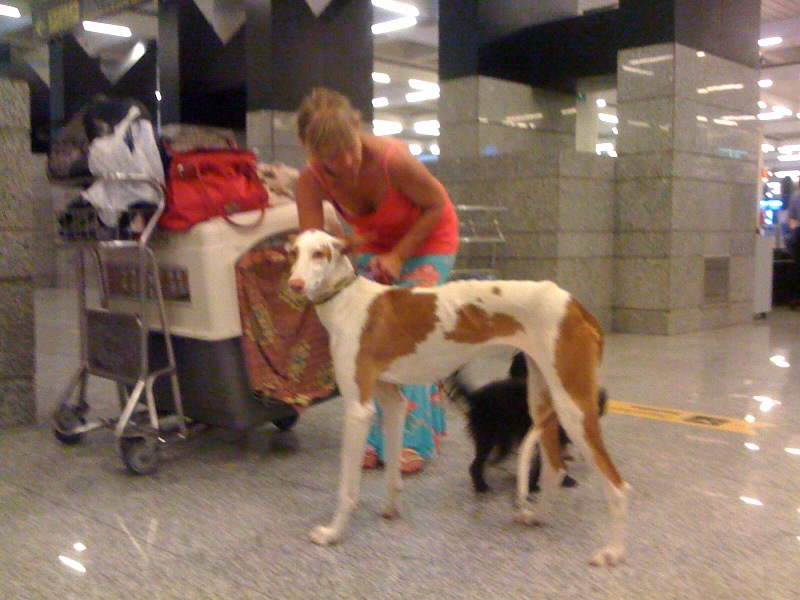 iMPALA fLUGHAFEN.jpg