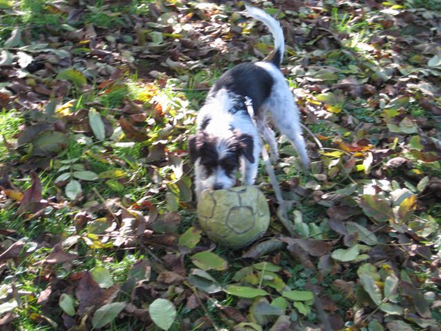 Leni+Ball.jpg