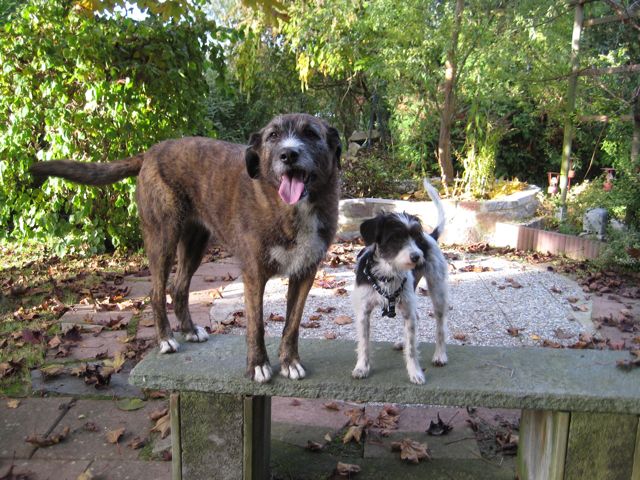 Leni+Sally auf Bank.jpg