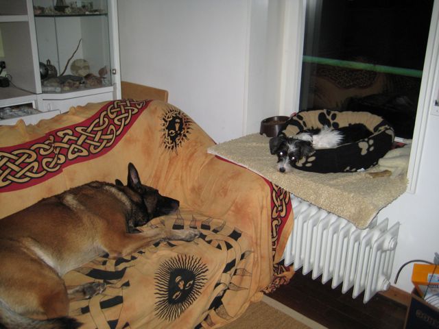 IMG_7547.jpg