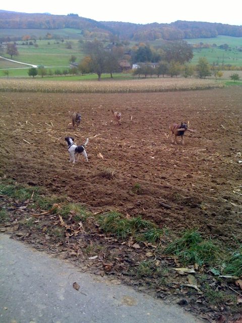 Foto-1.jpg
