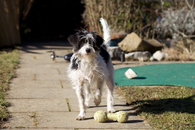Leni im Garten.jpg