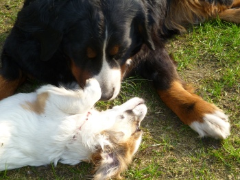 Maja und Motte 22.04.11.jpg