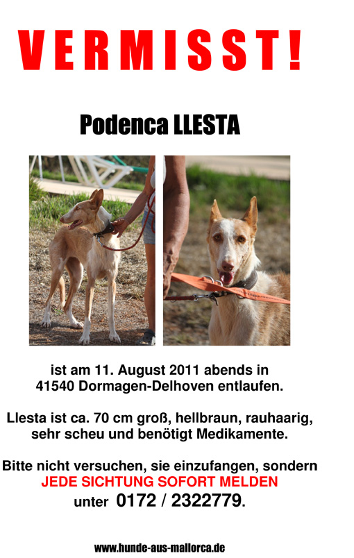 V E R M I S S T Llesta.jpg