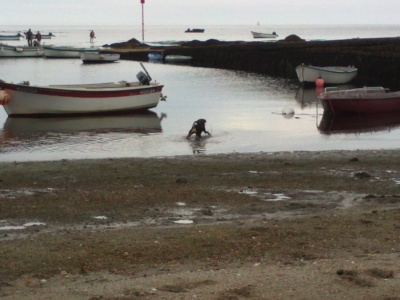 IMG356.jpg