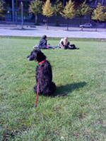 DSC00905.JPG