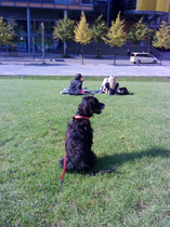 DSC00906.JPG