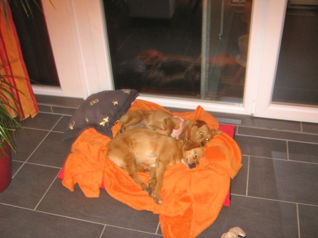 Bild 1.jpg
