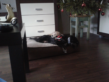 2012-01-04 11.50.55.jpg