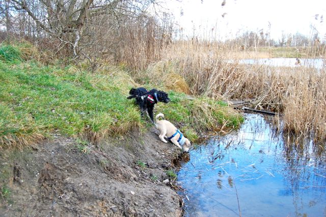 Bild 3.jpg