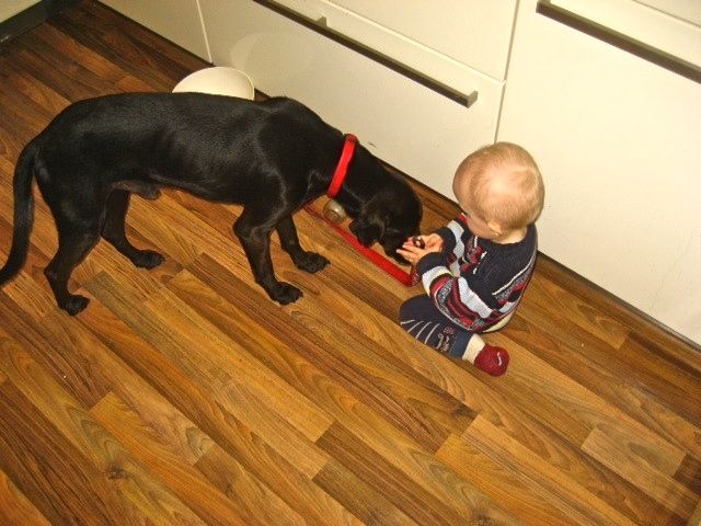 Bild 31.jpg