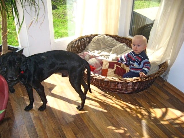 Bild 33.jpg