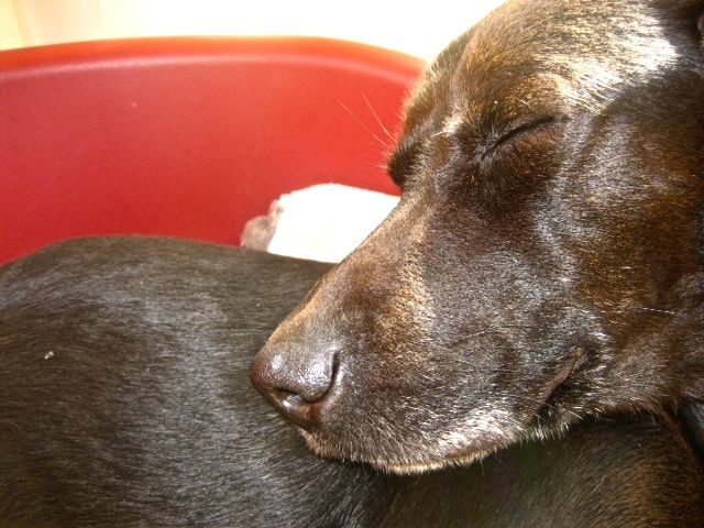 Bild 27.jpg