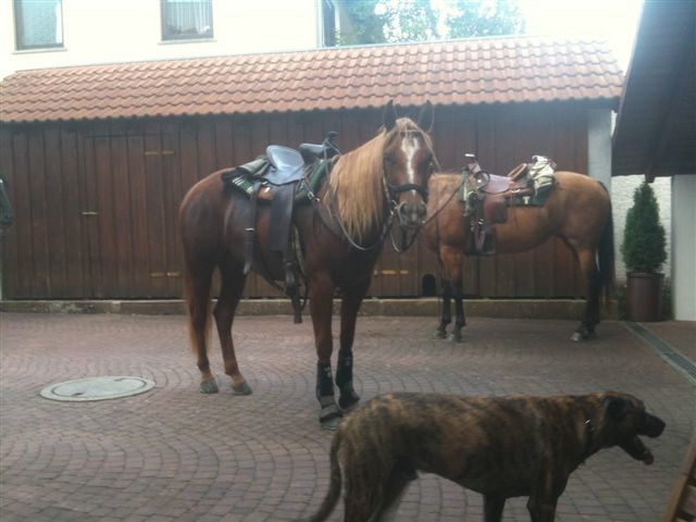 Bild 28.jpg