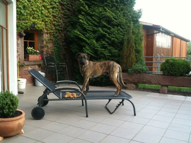 Bild 33.jpg