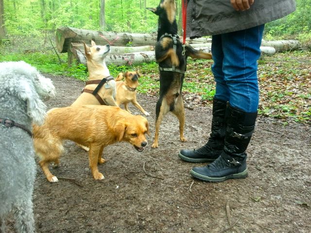 Bild 23.jpg