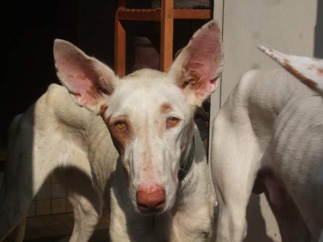 DSCF2054.JPG
