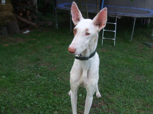 DSCF2074.JPG