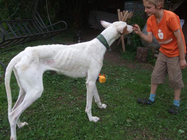 DSCF2088.JPG
