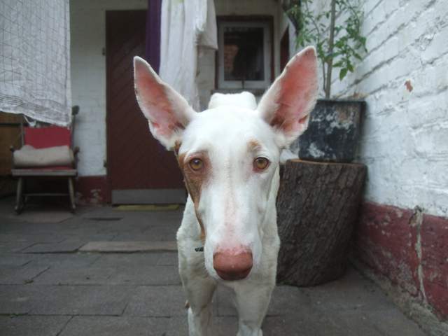 DSCF2121.JPG