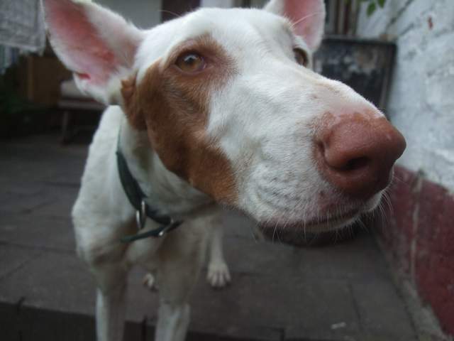 DSCF2126.JPG