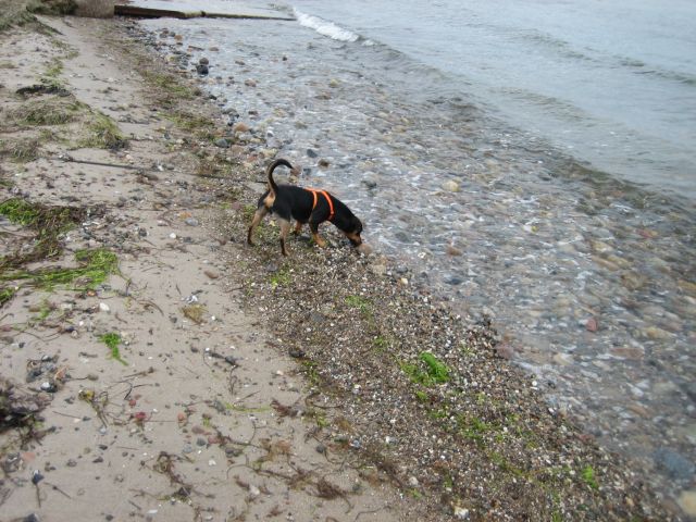 IMG_4140.jpg