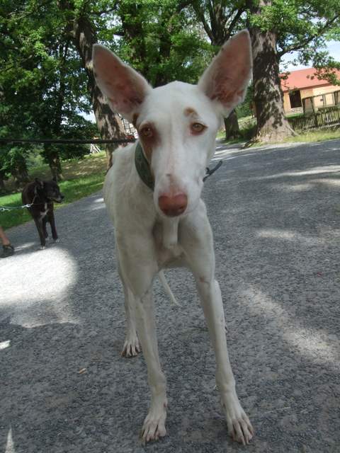 DSCF0016.JPG