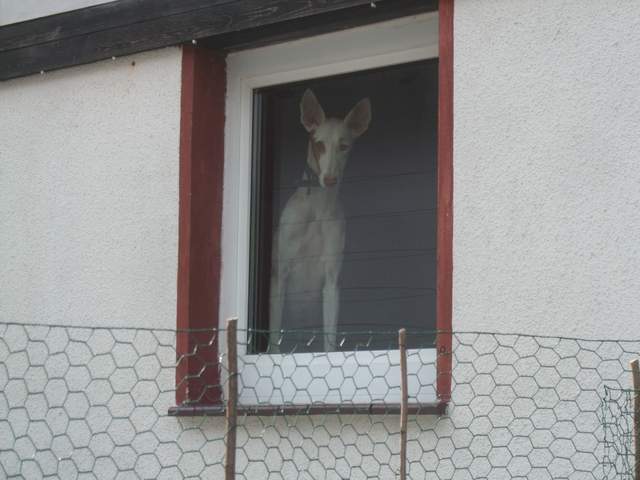 DSCF0178.JPG
