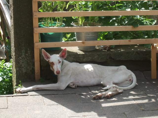 DSCF0164.JPG