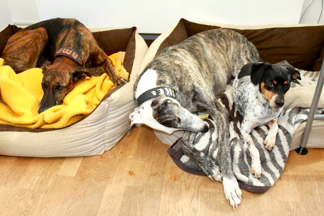 Bild 7.jpg