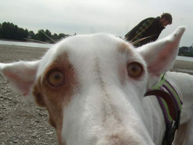 DSCF4158.JPG