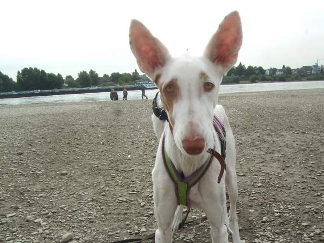 DSCF4227.JPG