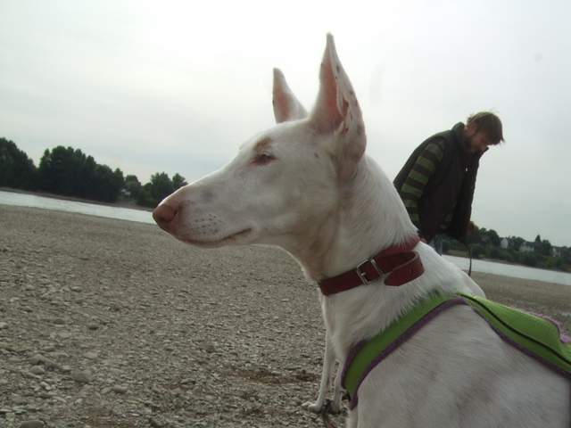 DSCF4150.JPG